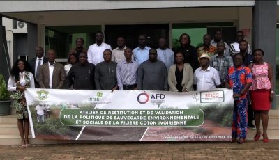 COTE D'IVOIRE / FILIÈRE COTON : Une politique de gestion environnementale et sociale en voie de ...
